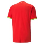 Camisolas de futebol Gana Equipamento Alternativa World Cup 2022 Manga Curta